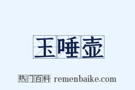 玉唾壶是什么意思的图片